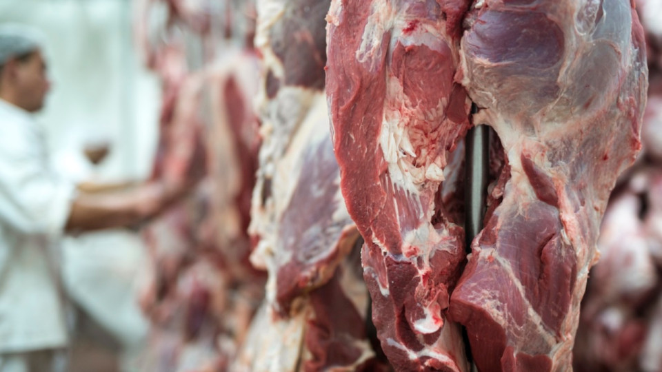 Saint-Romain-de-Popey : l&rsquo;&Eacute;tat donne son feu vert &agrave; la r&eacute;ouverture de l&rsquo;abattoir