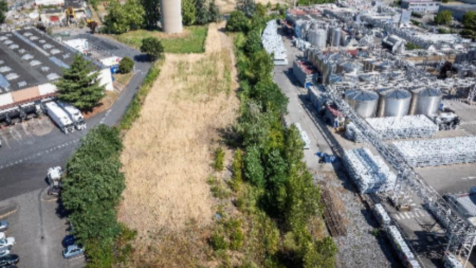 M&eacute;tropole de Lyon : plus de 14 000 arbres et plants forestiers programm&eacute;s pour la saison 2026-2027