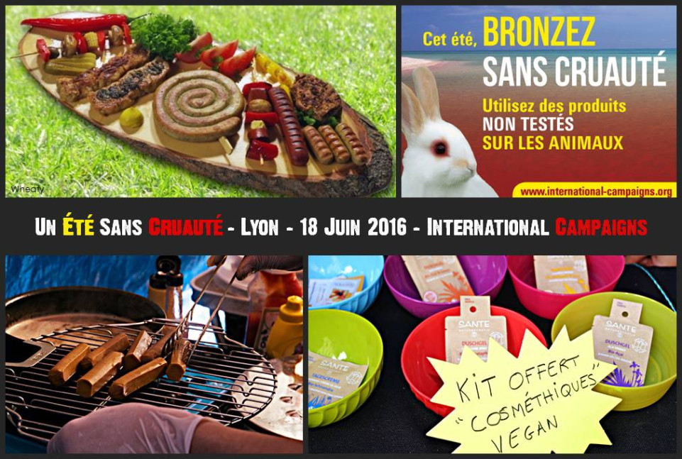 Lyon : le vegan promu place de la République