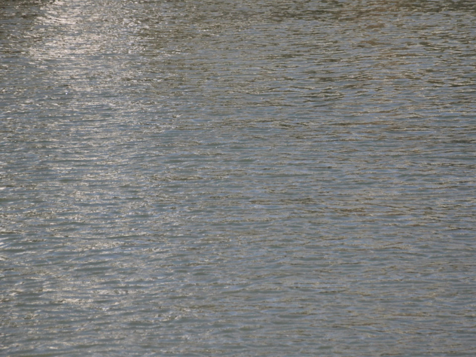 Auvergne-Rhône-Alpes : 52% des rivières sont en bon état écologique