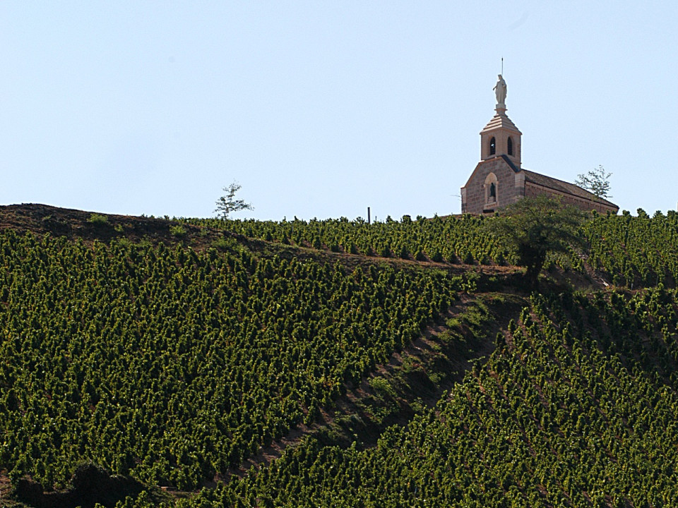 Fusion Belleville-Saint-Jean-d’Ardières : huit élus mécontents démissionnent