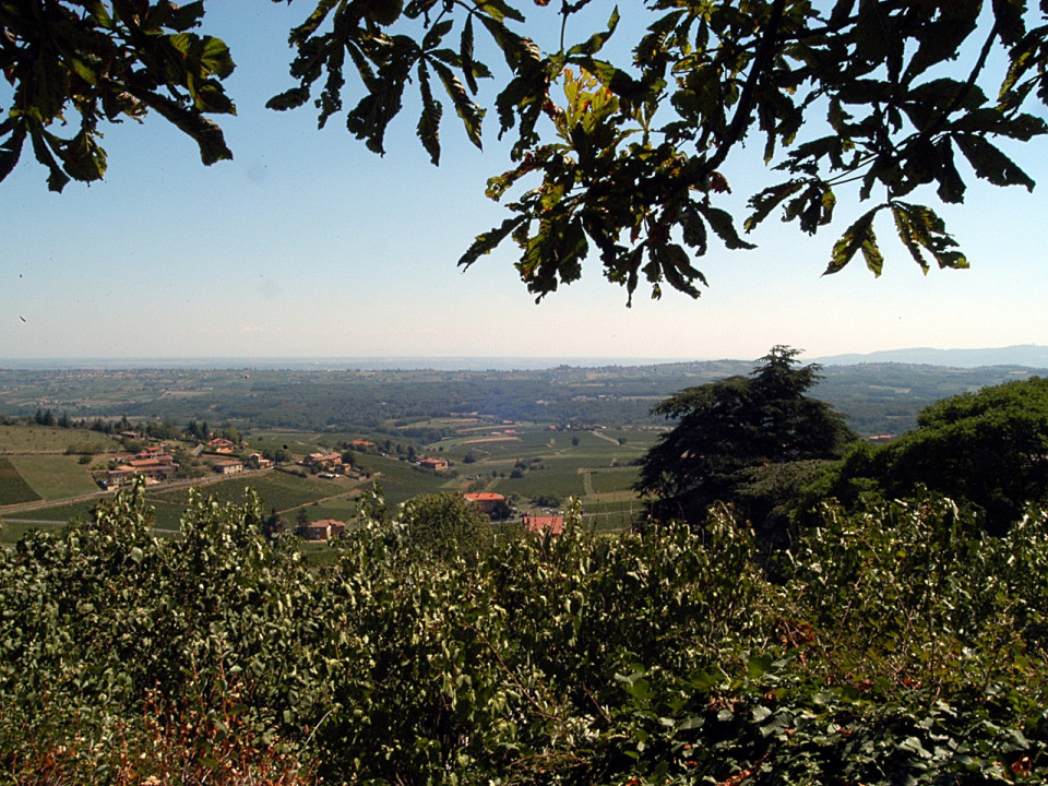 Rhône-Alpes parmi les régions les plus touchées par les pesticides