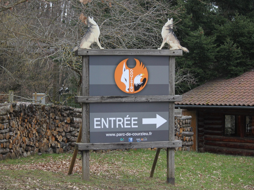 De nouveaux loups au parc de Courzieu