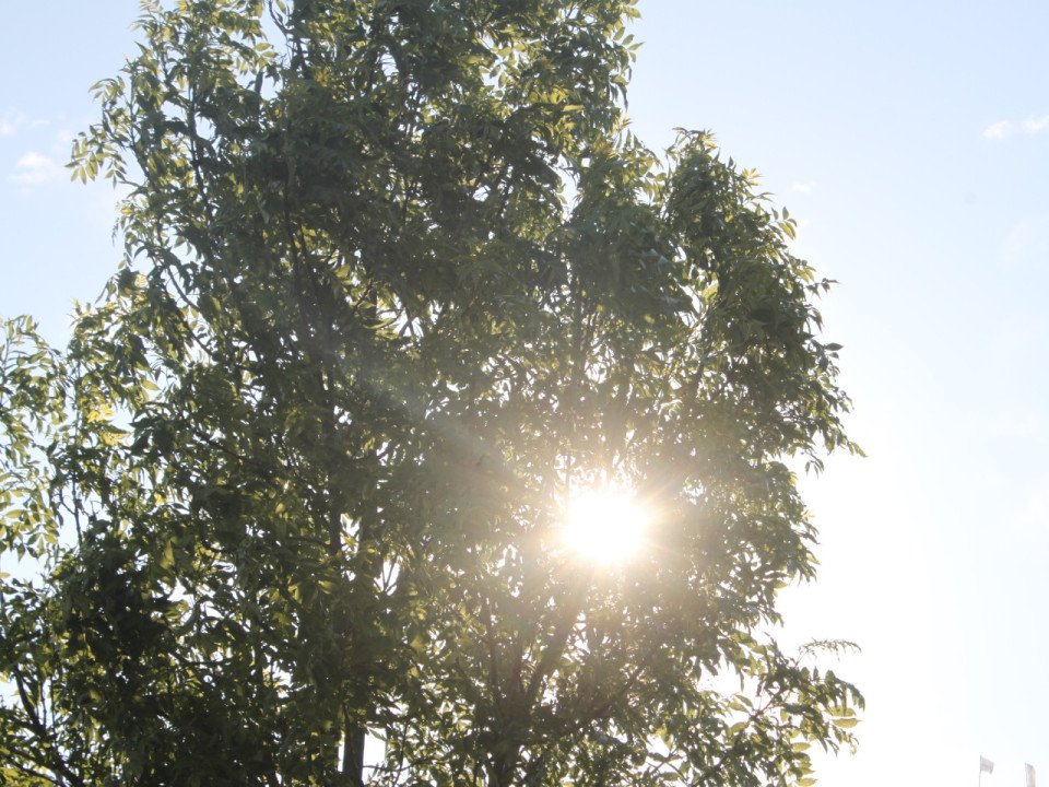 Météo à Lyon : le soleil n'a pas dit son dernier mot ce week-end