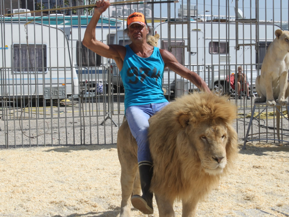 Le cirque Pinder des lyonnais Edelstein en liquidation judiciaire