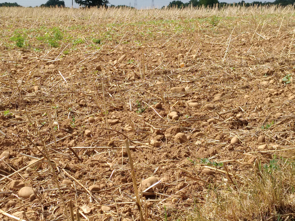 Rhône : 50 communes reconnues en état de catastrophe naturelle