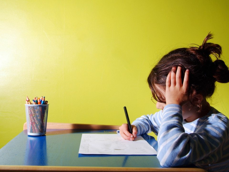 Villeurbanne : l'école Rosa-Parks n'ouvrira pas en septembre 2019