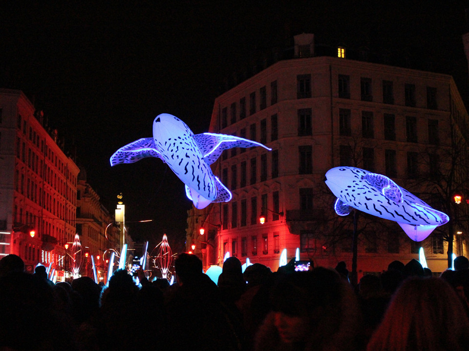 Trophées Fête des Lumières : le meilleur de l'évènement récompensé