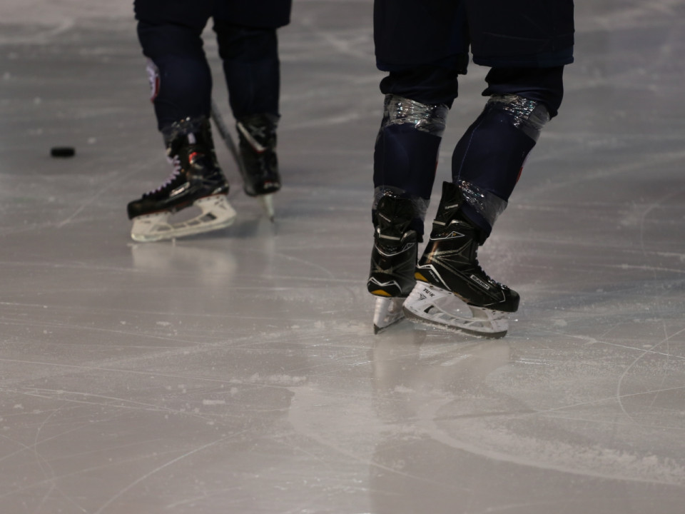 Les Lions déroulent face à Chambéry (1-10)