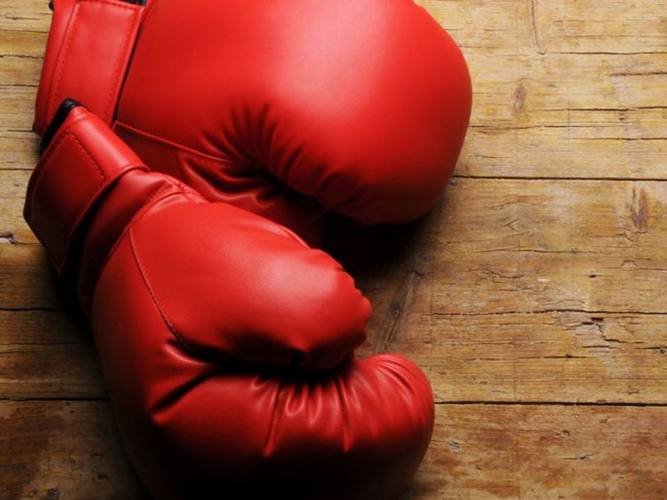 Un gala de boxe solidaire pour "éliminer" les violences faites aux femmes