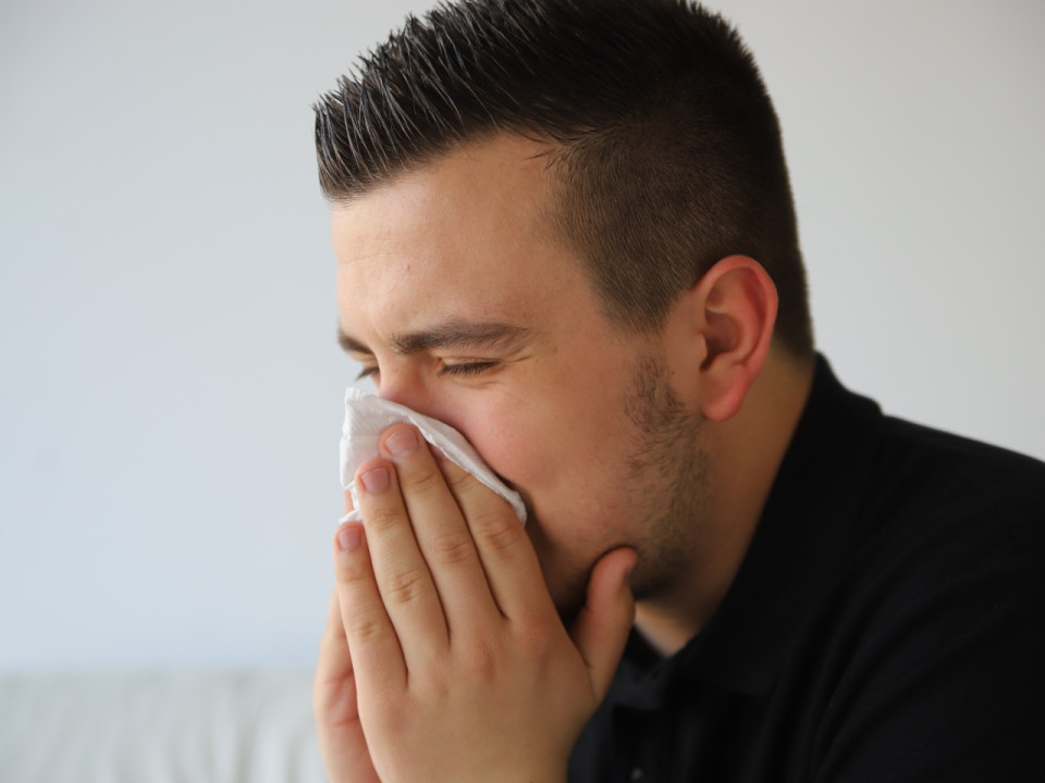 Le Rhône en alerte orange pour les pollens de graminées