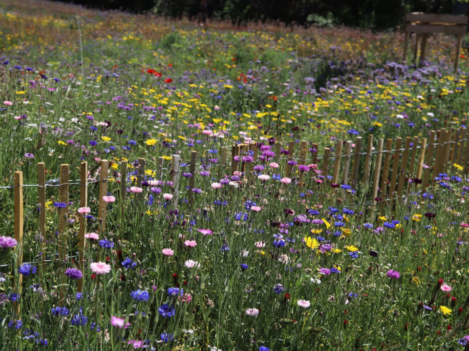 Confinement : tous les parcs et squares de Meyzieu fermés à leur tour