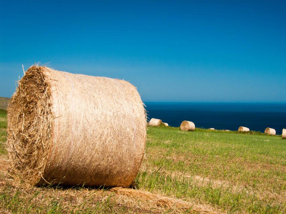 Fillette tuée par une meule de foin près de Lyon : du sursis pour l’agriculteur