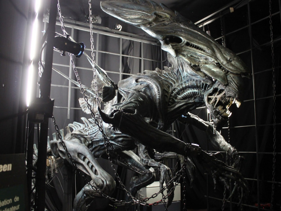 Un musée lyonnais dans le Top 10 des meilleurs musées de France