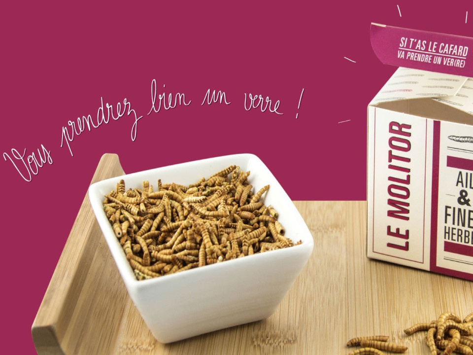 Lyon : un apéro à base d’insectes ce mardi soir !