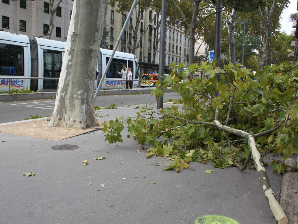 Vents violents : une cinquantaine d'interventions de pompiers dans le Rhône