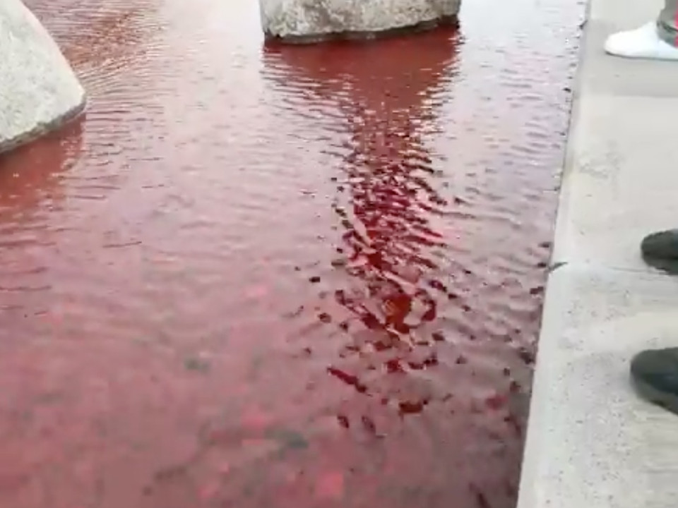 Lyon : un liquide rouge jeté dans les Berges du Rhône lors d’un hommage à Steve Maia Caniço