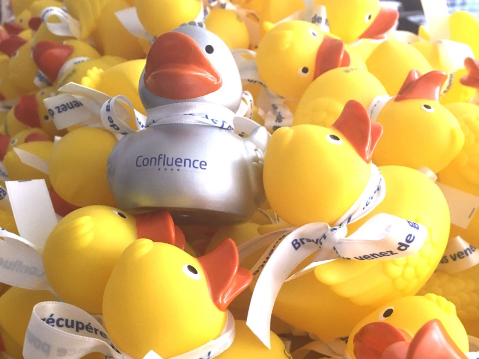 Début des soldes d’été : le retour de la chasse aux canards de Confluence !