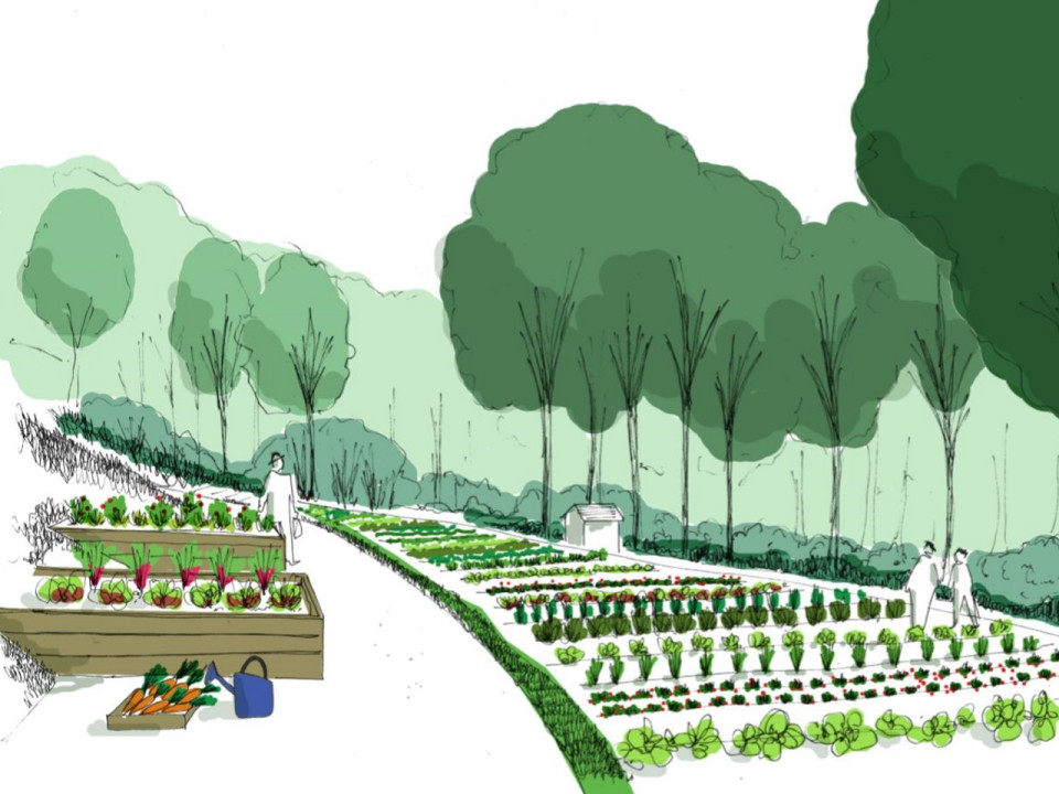 Limonest : quand le potager s’invite dans les bureaux