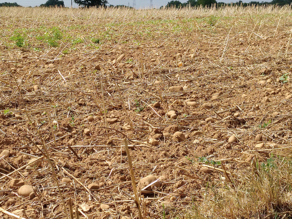 Les pesticides dans l’air contrôlés dès le printemps 2018