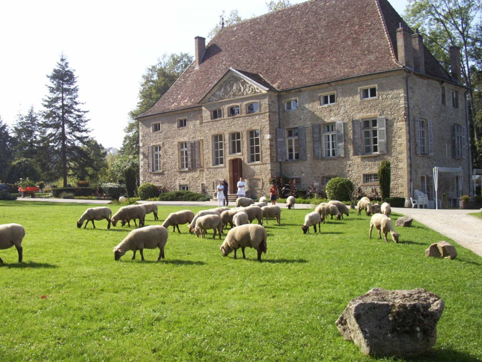 La vente d'un château au fils d'un député du Rhône ravive de vieilles affaires