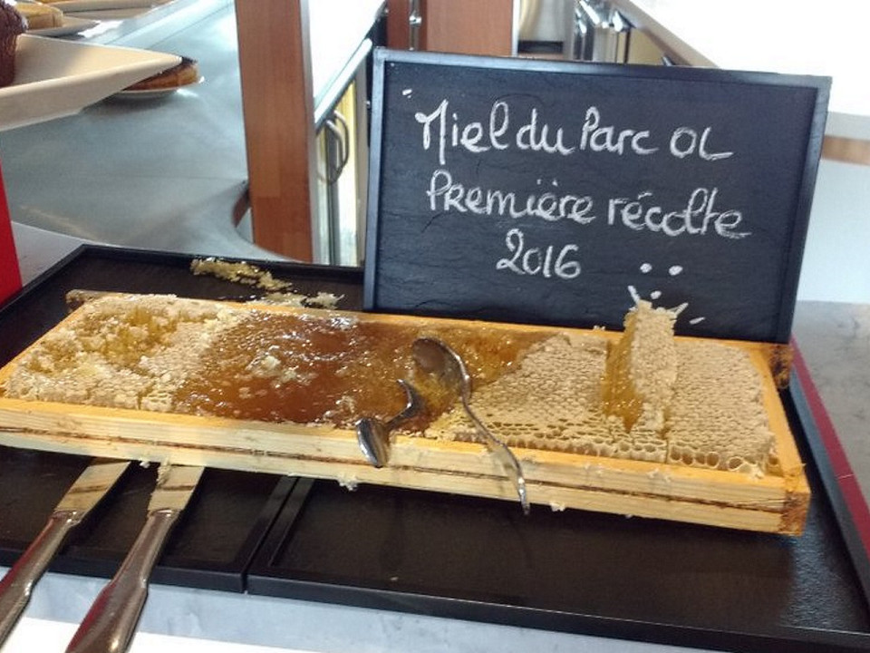 L'OL propose aux supporters sa première récolte... de miel