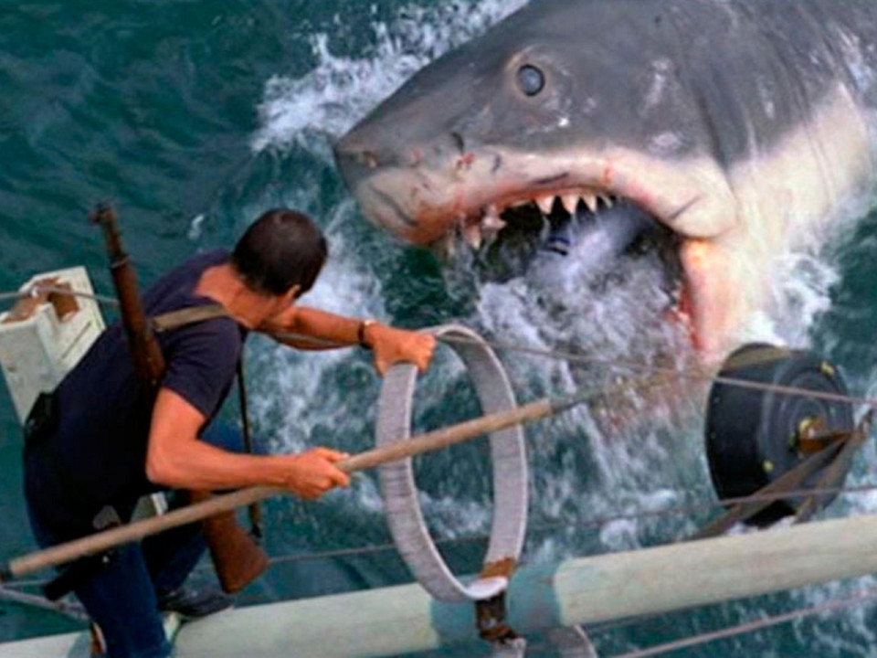 Lyon : une projection du film "Les Dents de la mer" à la piscine !