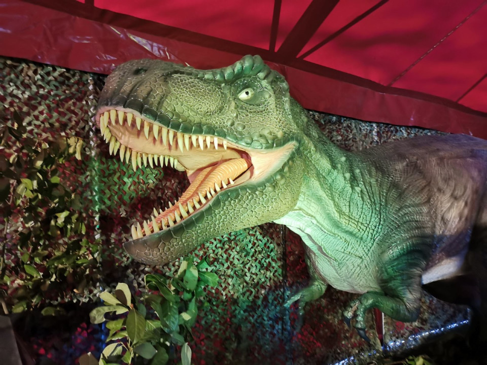 Le Mag des bons plans du week-end à Lyon (5 et 6 septembre)