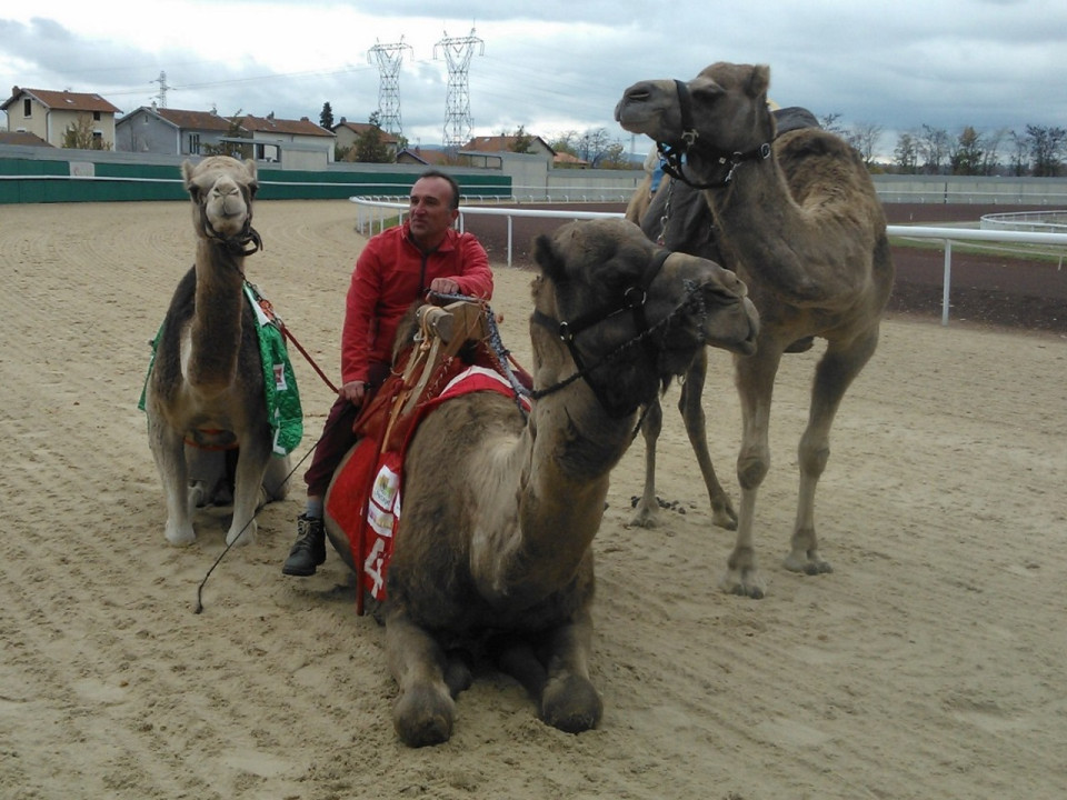 La coupe de France de course de dromadaires fait étape à Lyon !