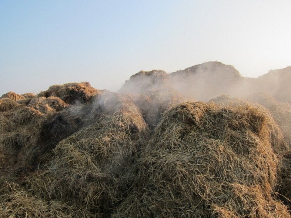 Prison ferme pour avoir déversé du fumier devant le domicile d'un huissier