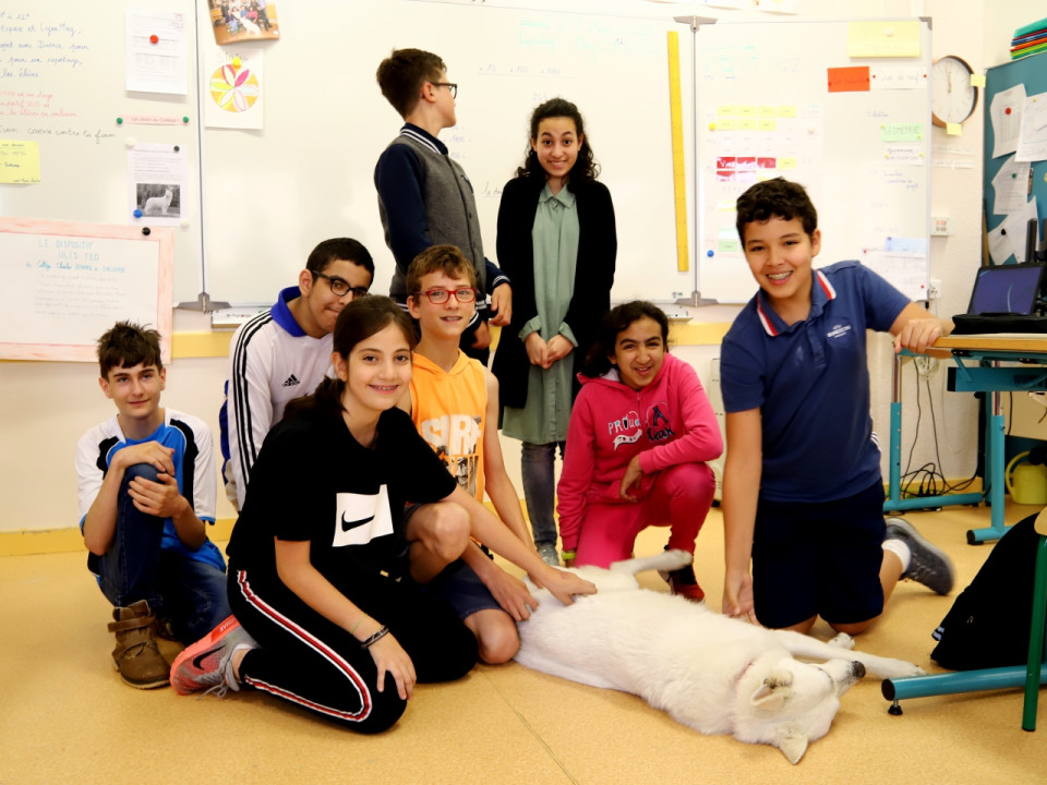 À Caluire, un collège accueille un chien pour aider les enfants autistes à progresser