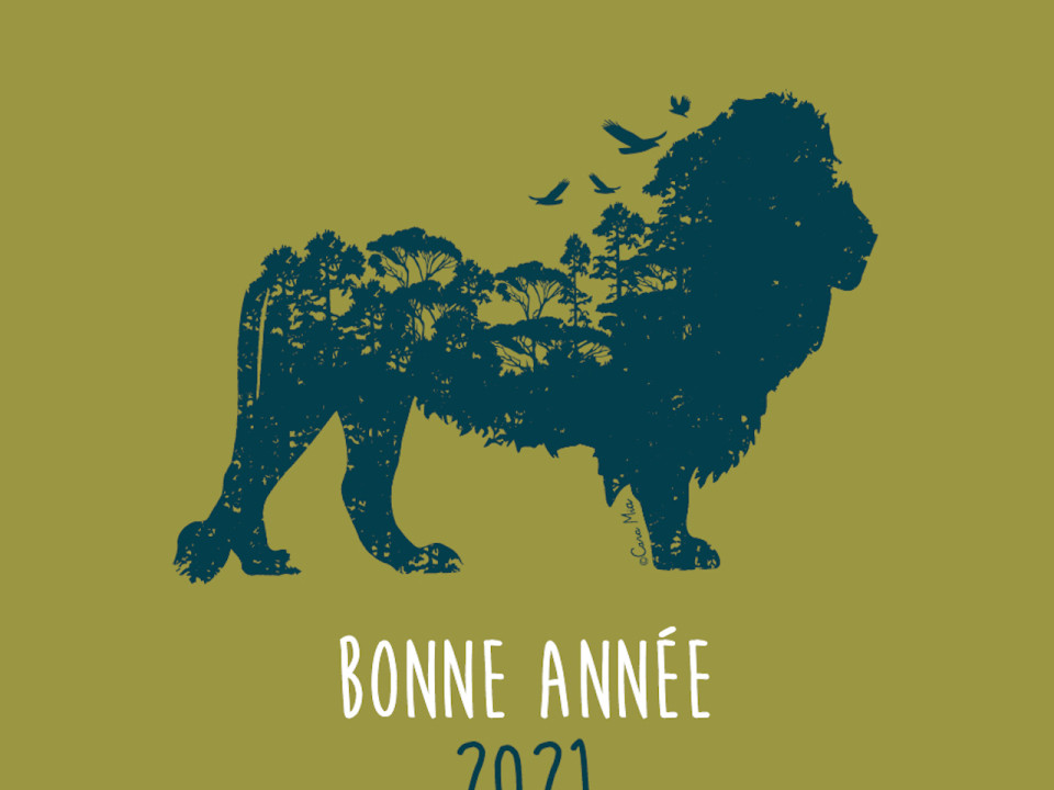 Lyon et sa transition écologique à l’honneur pour les voeux de la mairie