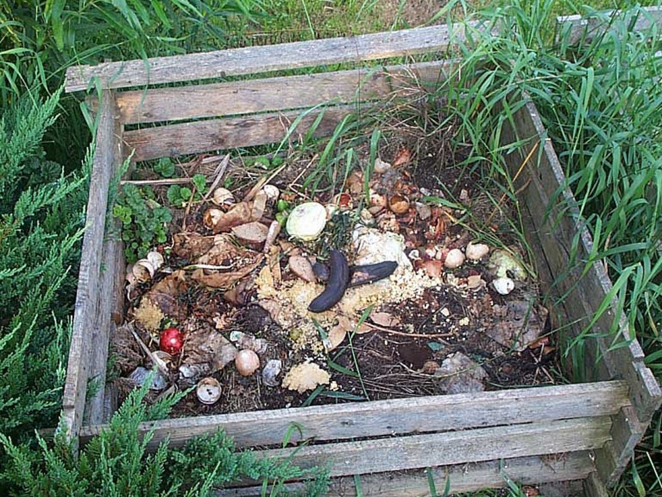 La Métropole de Lyon participe à la semaine du compostage partagé