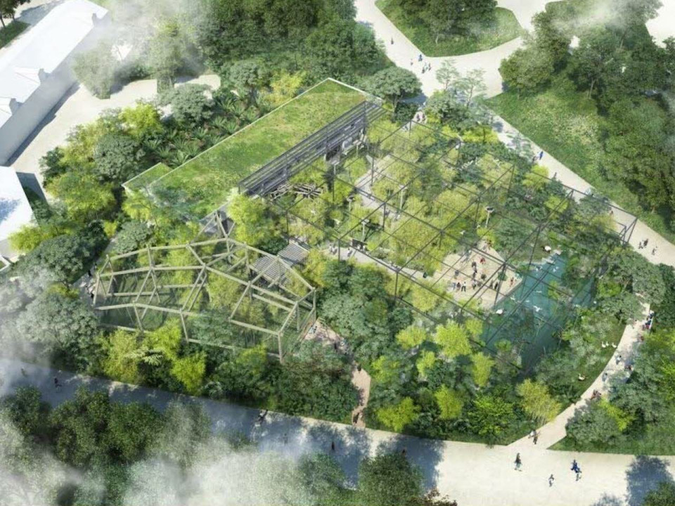 Forêt d'Asie : début des travaux au parc de la Tête d'Or à Lyon - VIDEO