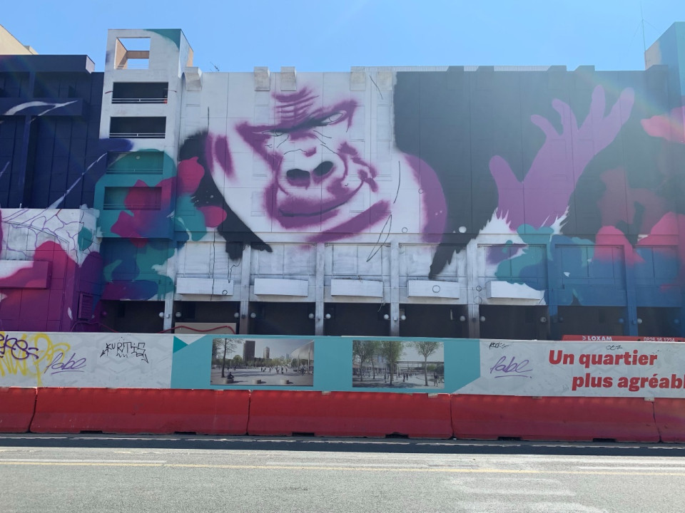 Zoo Art Show : le street-art s'invite à Lyon - VIDEO