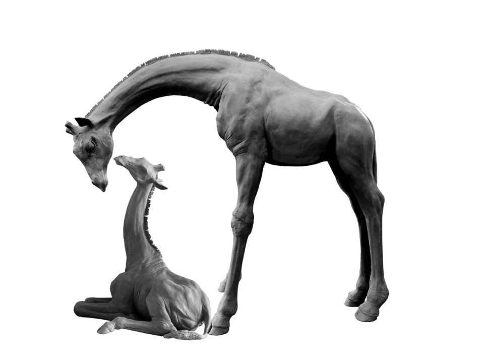 Sculptures de girafes à la Tête d’Or : nouvel appel aux dons pour financer "la maman girafe"