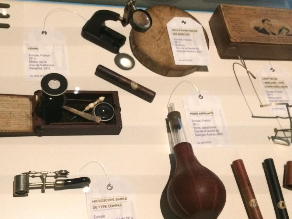 Le Musée des Confluences voyage dans l’histoire avec "Carnets de collection"