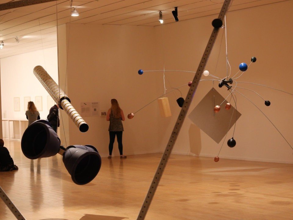 Pour acquérir l'oeuvre Rainforest, le MAC de Lyon ose le crowdfunding