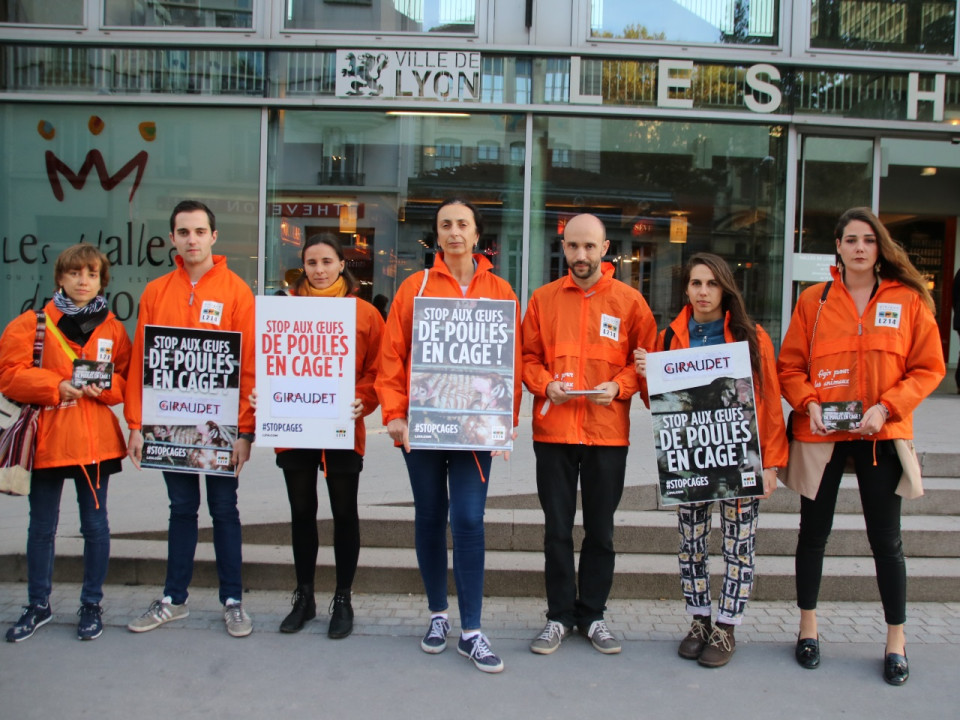 Oeufs de batterie : L214 mobilisée à Lyon pour sensibiliser Giraudet