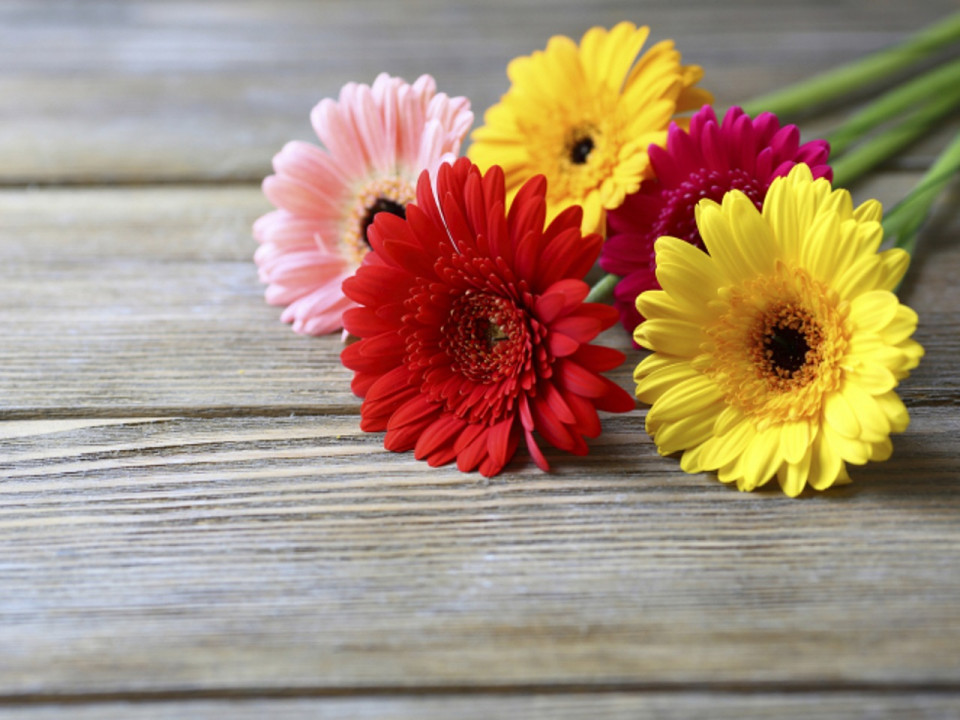 Que faire à Lyon ce week-end du 28, 29, 30 avril et 1er mai 2017 ?