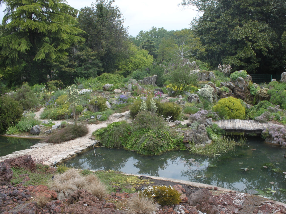 Parc de la Tête d'Or : présentation du jardin alpin qui rouvre ses portes ce vendredi