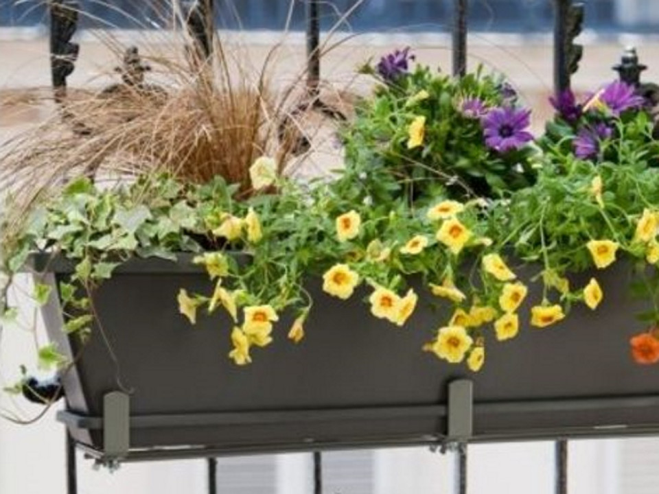 Saint-Priest : il jette des jardinières sur son épouse qui faisait selon lui trop de bruit