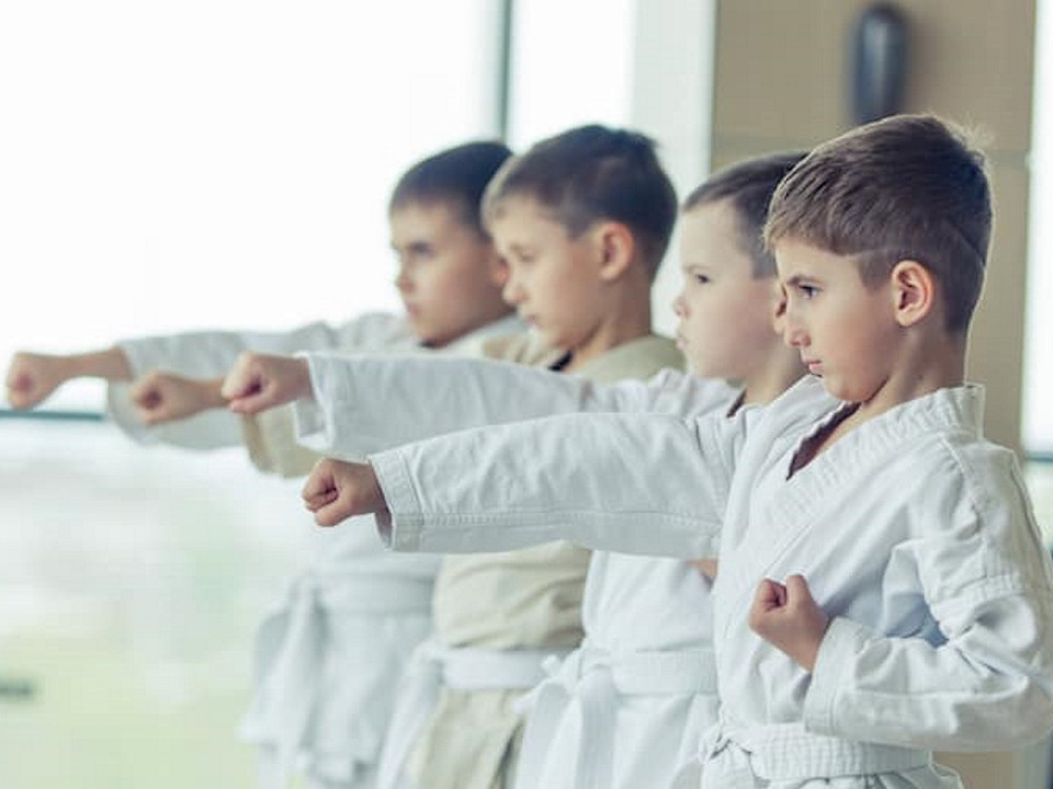 Karaté : un ex-élu lyonnais au coeur d’un scandale financier