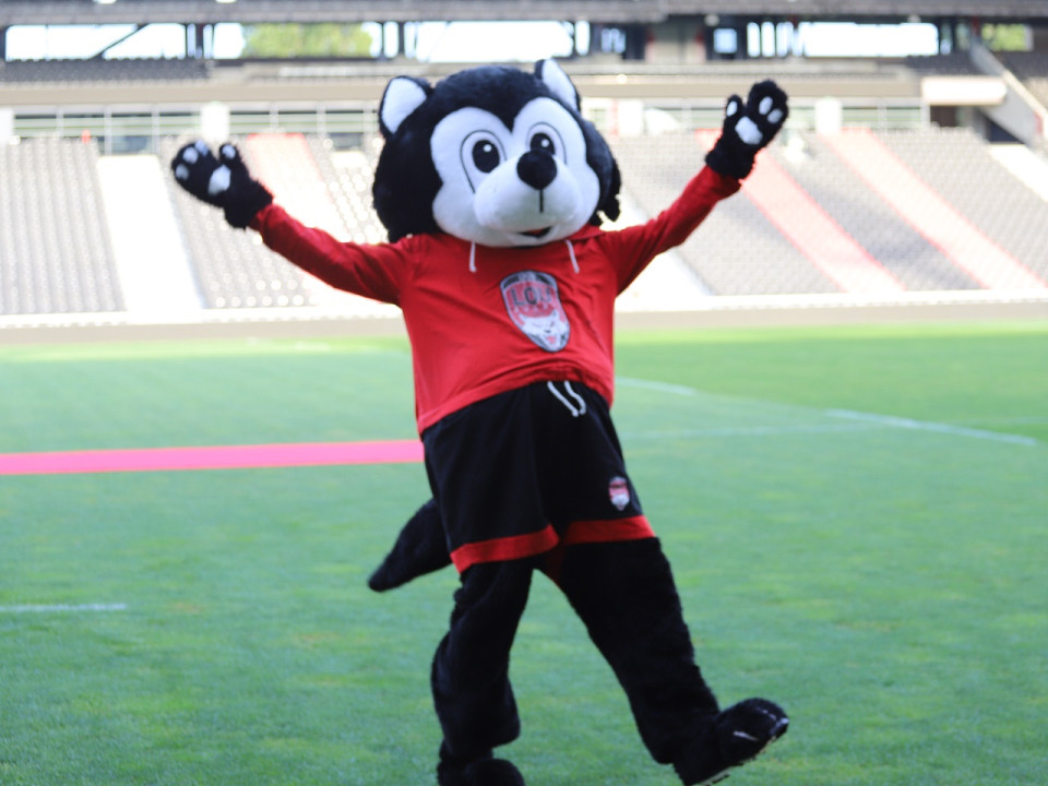 LOU Rugby : le calendrier de la saison de Top 14 dévoilé !