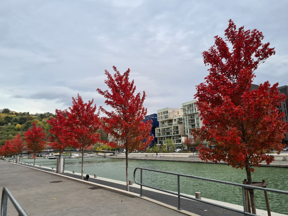 Le Mag des bons plans du week-end à Lyon (24 et 25 octobre)