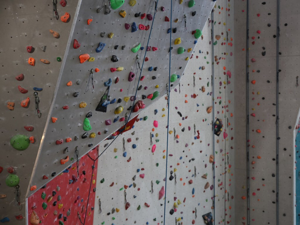 Le Mag des bons plans du week-end à Lyon (16 et 17 novembre)