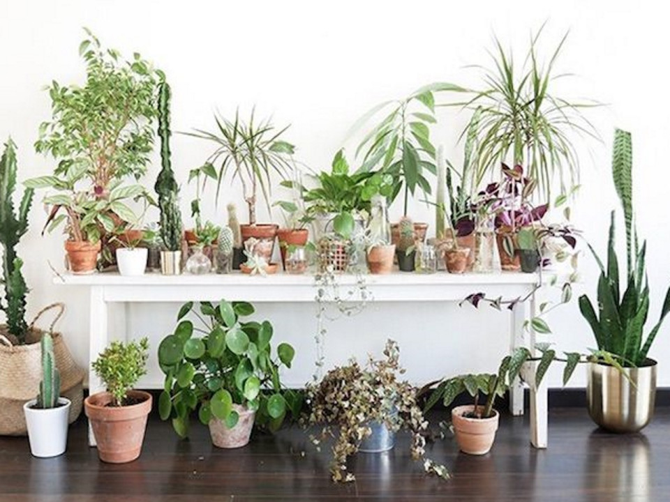 Que faire à Lyon ce week-end du 1er, 2 & 3 décembre 2017 ?