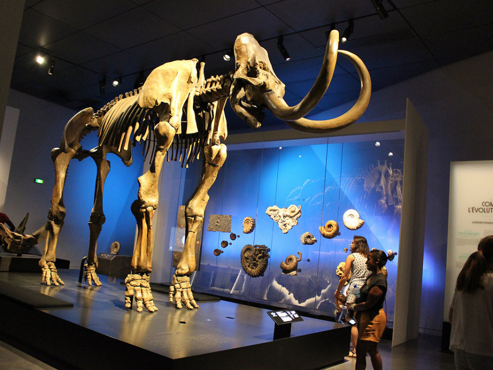 Quels sont les musées et les attractions les plus visités à Lyon ?