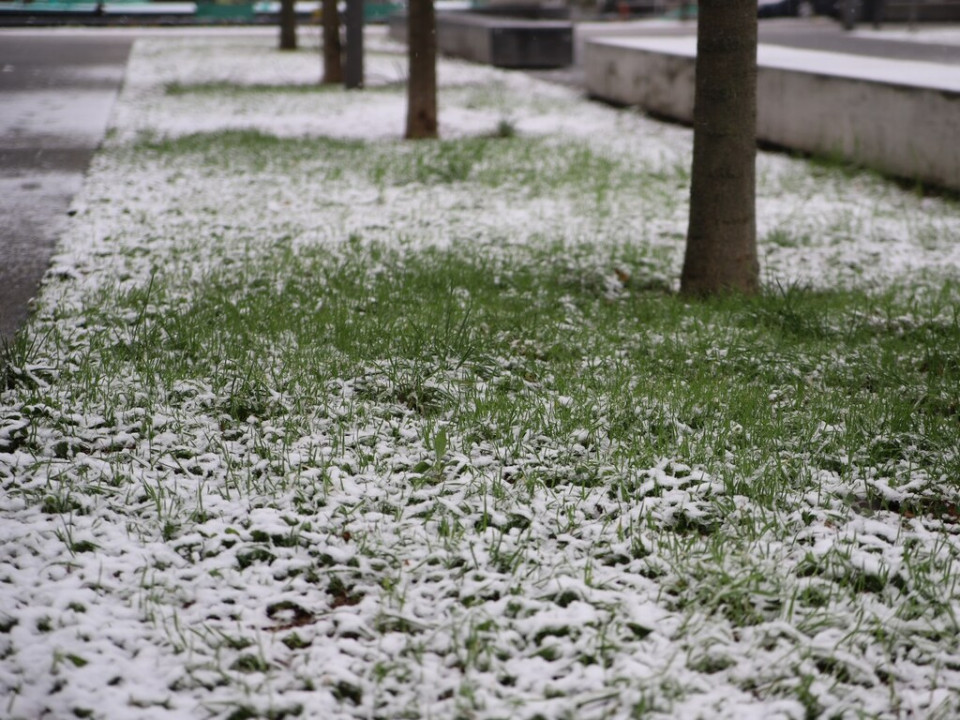 Des flocons de neige à Lyon pour la soirée du 8 décembre ?