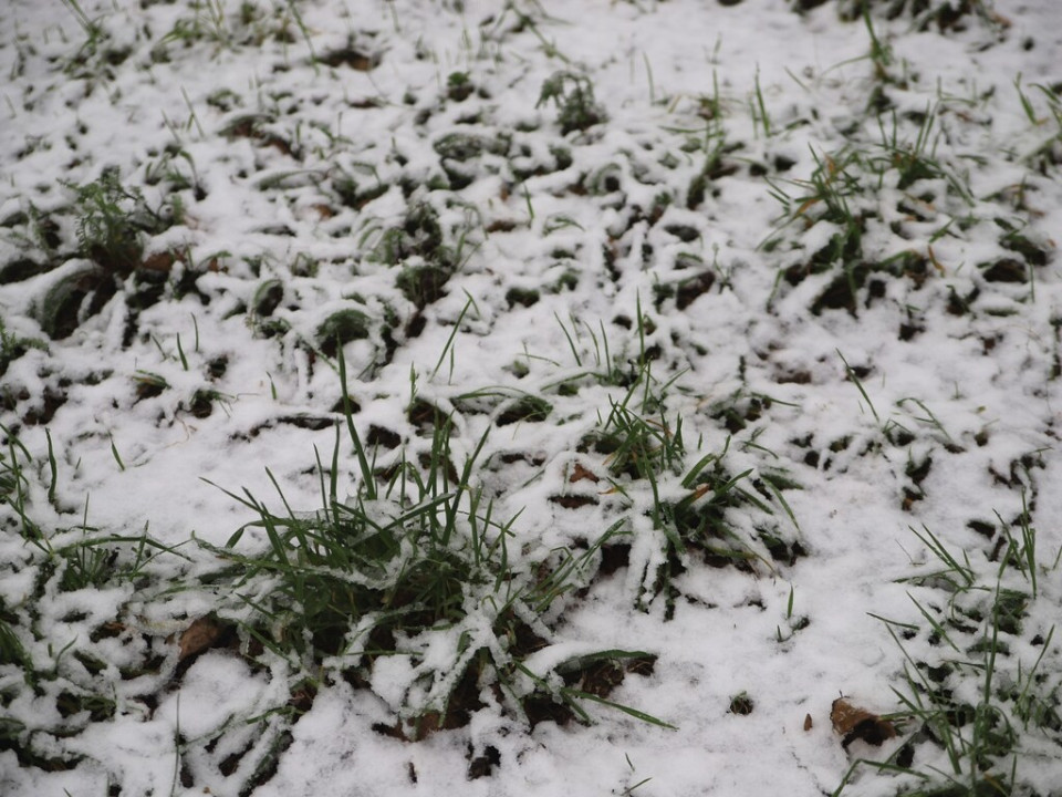 Neige : la Métropole de Lyon a déclenché son dispositif de viabilité hivernale
